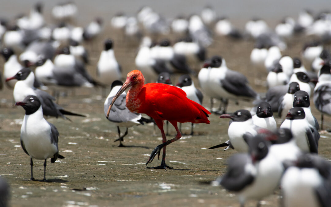 How to differentiate your business school